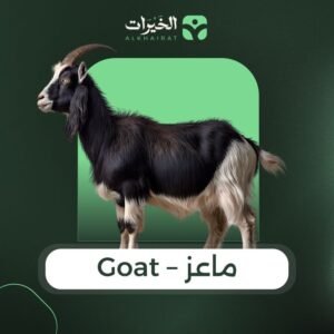 product goat